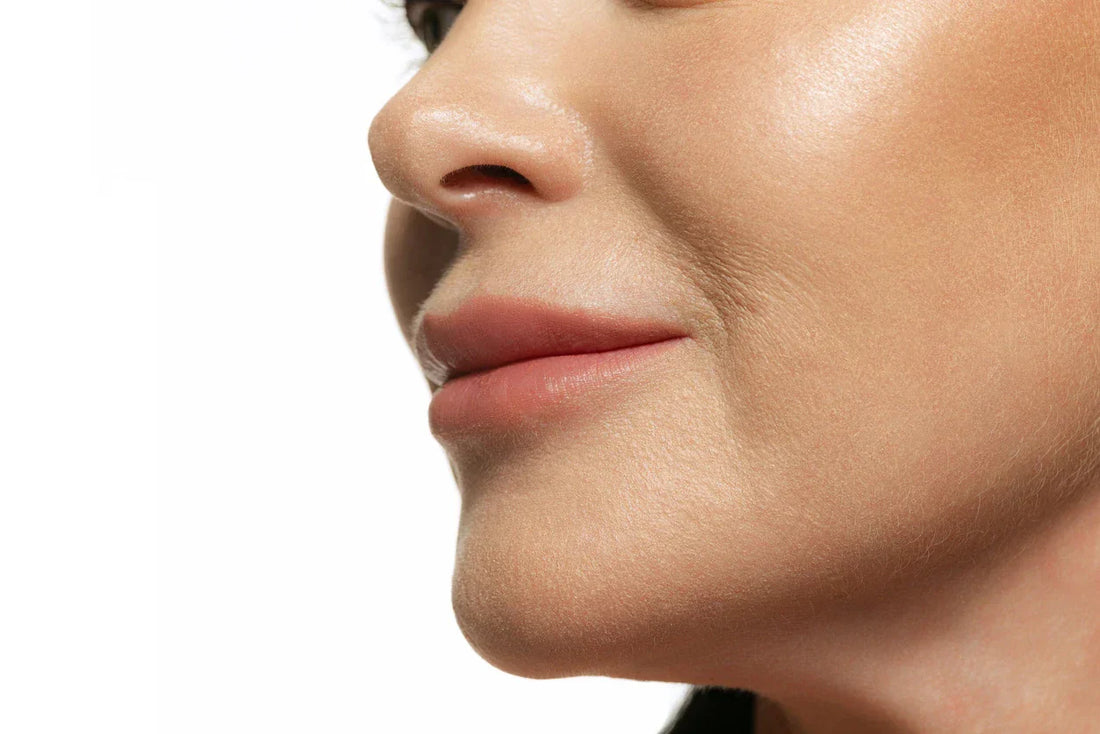 Prebiotic Fibre & Skin: The Gut–Skin Connection