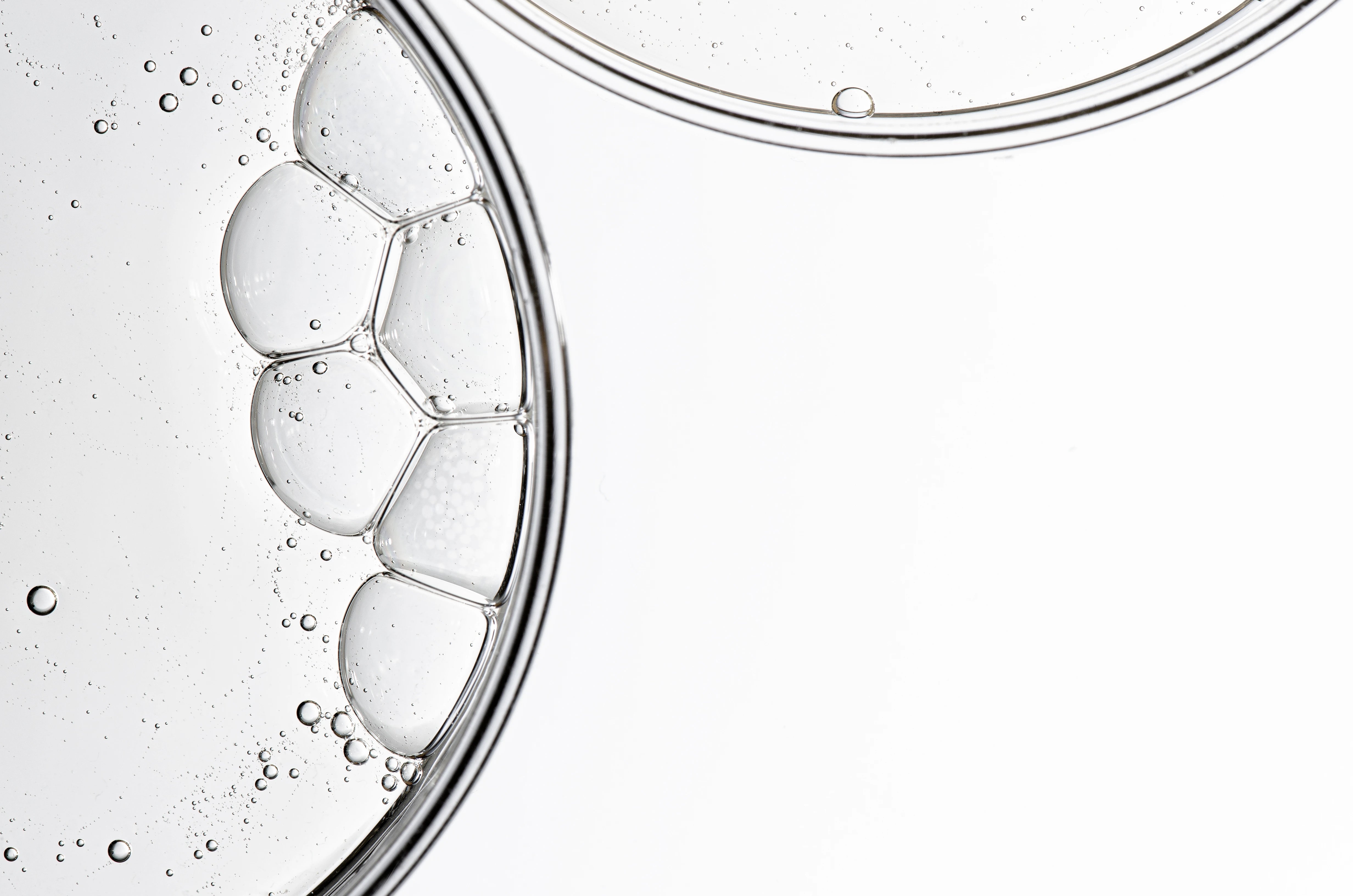 Sun Ray® Daily Foundation — essential daily nutrients to support vitality and overall well-being.