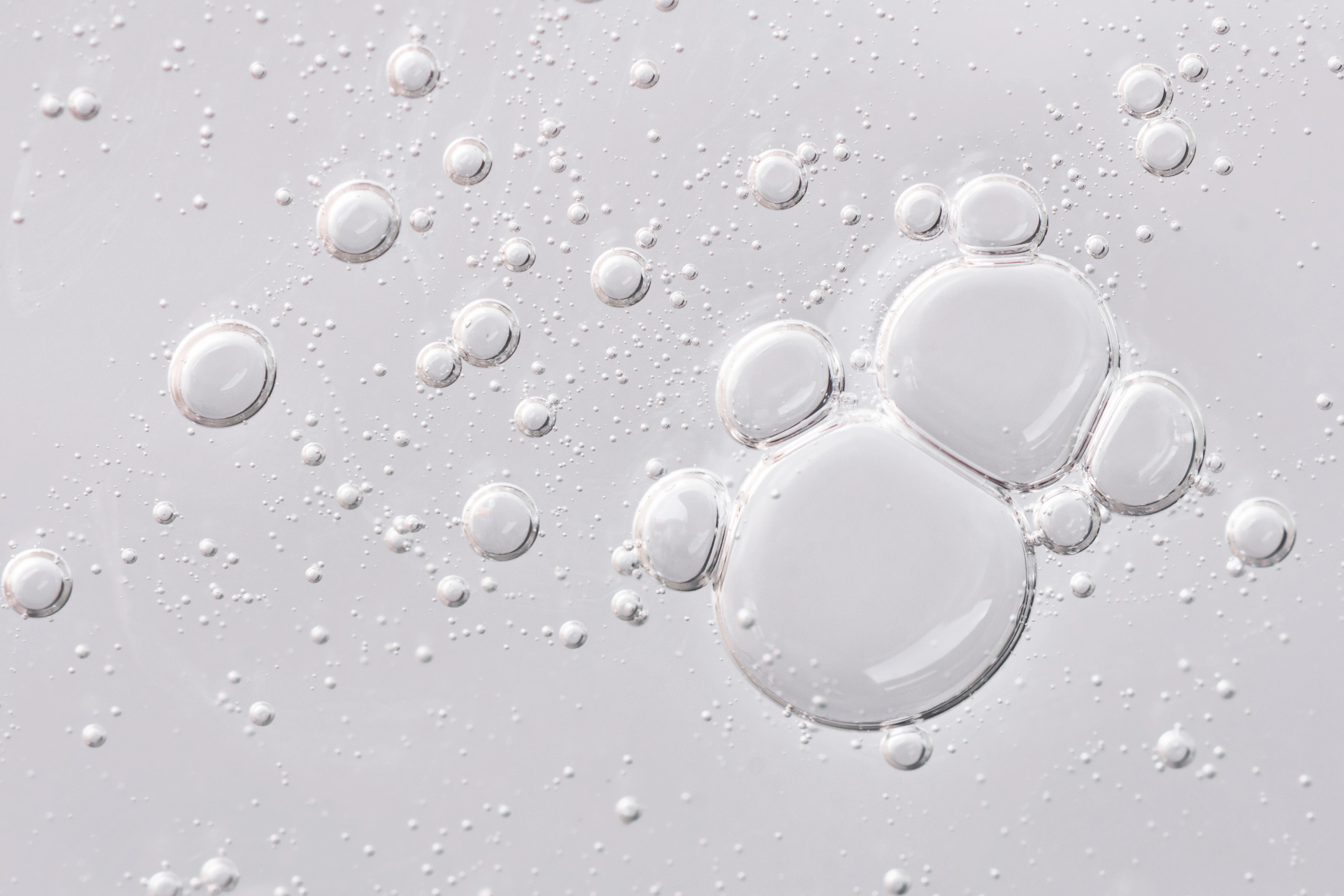 Sun Ray® Digestive Support — probiotic and prebiotic formulations to support gut balance and overall health.